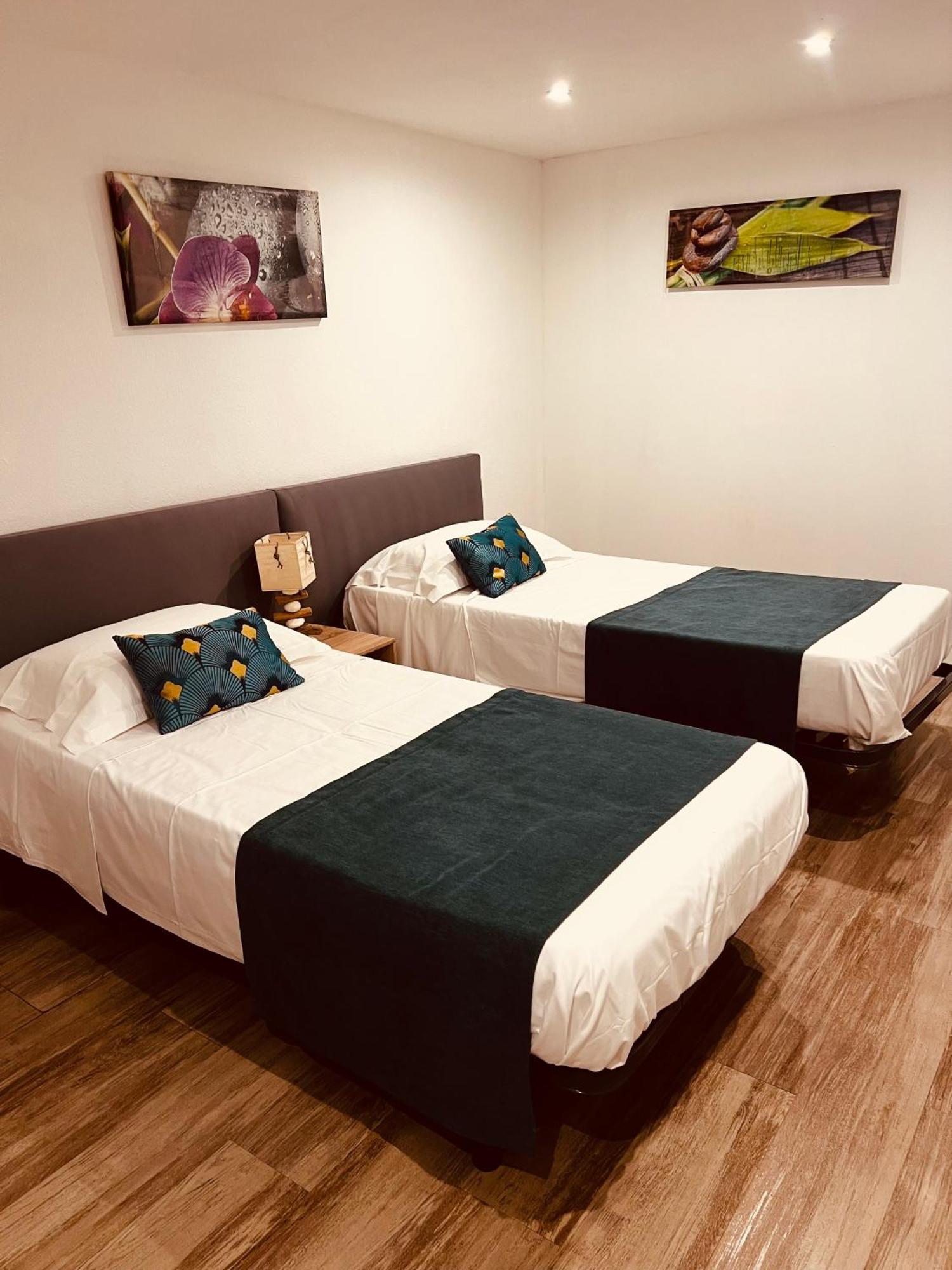 Calvi Appart Hotel Rum bild
